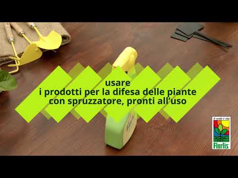 Carica video: