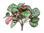 RAMO CALATHEA ROSEOPICTA ARTIFICIALE 33CM
