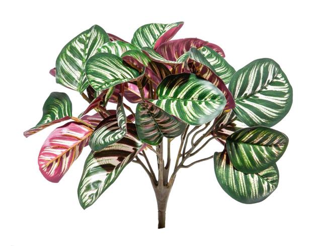 RAMO CALATHEA ROSEOPICTA ARTIFICIALE 33CM