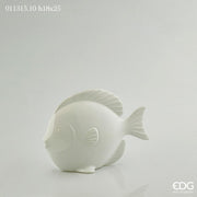 PESCE ROTONDO 18X25 BIANCO
