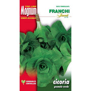 SEMI CICORIA GRUMOLO VERDE BUSTA MAGNUM