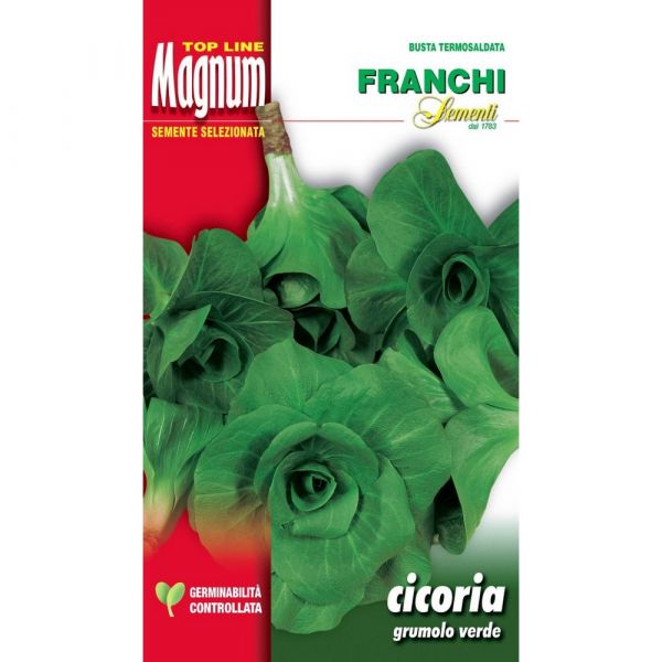 SEMI CICORIA GRUMOLO VERDE BUSTA MAGNUM