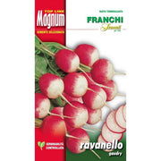 SEMI RAVANELLO GAUDRY 2 BUSTA MAGNUM FRANCHI SEMENTI