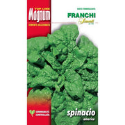 SEMI SPINACIO AMERICA BUSTA MAGNUM