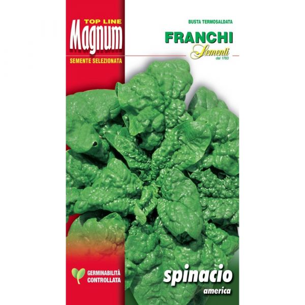 SEMI SPINACIO AMERICA BUSTA MAGNUM