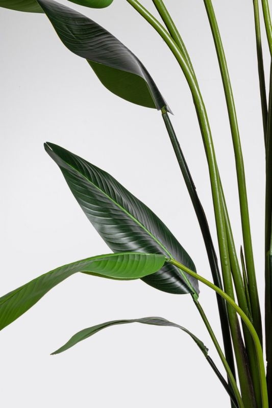 PIANTA ARTIFICIALE DA INTERNO STRELITZIA CON VASO 18 FOGLIE H310 CM