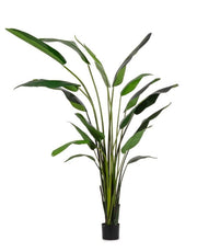 PIANTA ARTIFICIALE DA INTERNO STRELITZIA CON VASO 18 FOGLIE H310 CM