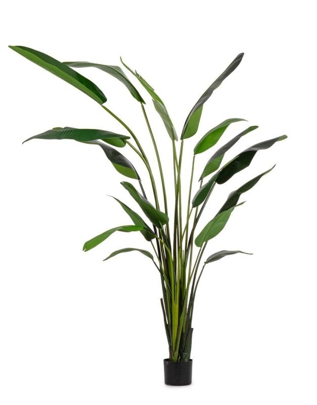 PIANTA ARTIFICIALE DA INTERNO STRELITZIA CON VASO 18 FOGLIE H310 CM