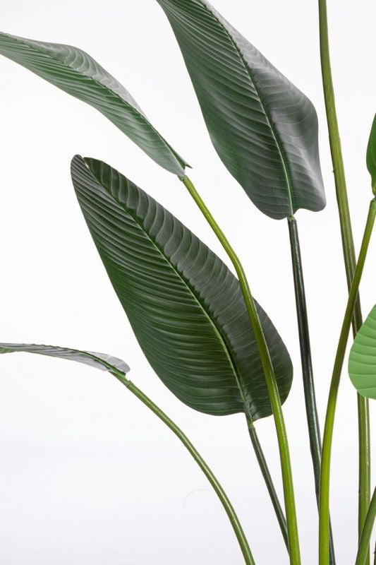 PIANTA ARTIFICIALE DA INTERNO STRELITZIA CON VASO 13 FOGLIE H235 CM