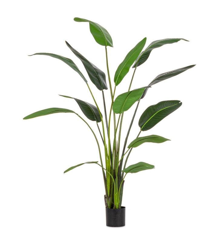 PIANTA ARTIFICIALE DA INTERNO STRELITZIA CON VASO 13 FOGLIE H235 CM