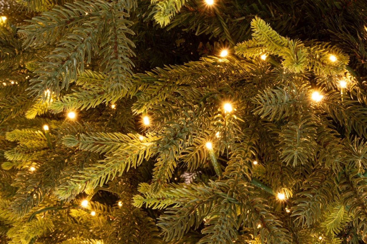 Albero di Natale Berkshire, 210 cm (D132 cm), Verde, 1900 LED – 5436 rami