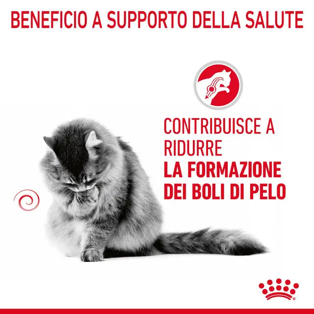 ROYAL CANIN SOIN ANTI-BOULETTES POUR CHATS 12X85GR SANS POIL