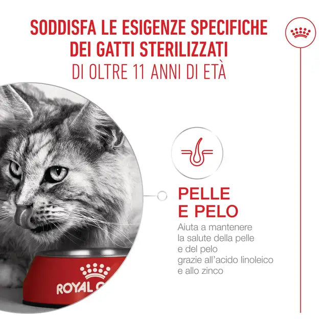 ROYAL CANIN AGEING 11+ GRAVY IN SALSA PER GATTI ANZIANI 12x85GR