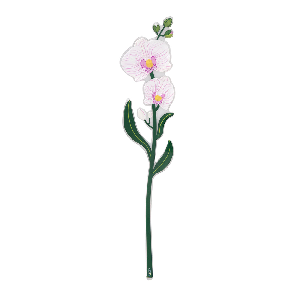 Orchidea Grande Funny Flowers 12 x 59.5 H cm Sp. 5 mm Bianco VESTA