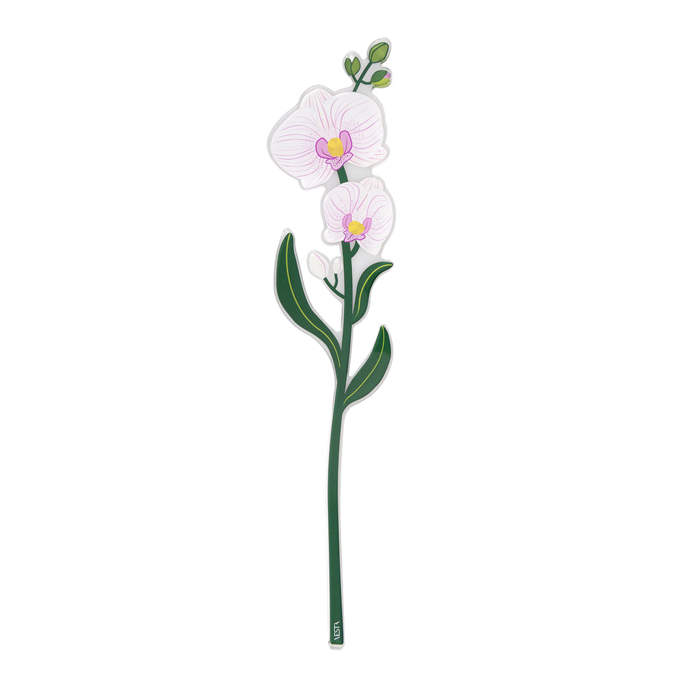 Orchidea Piccola Funny Flowers 9,8 x 46 cm Bianco Vesta Home