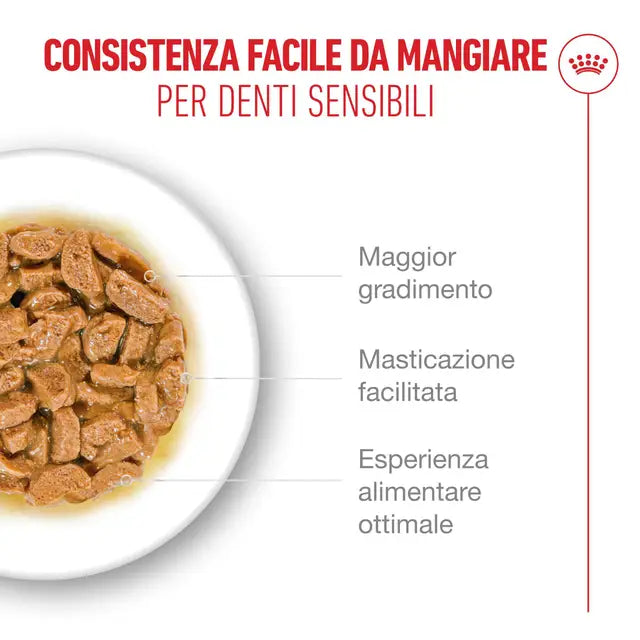 ROYAL CANIN AGEING 11+ GRAVY IN SALSA PER GATTI ANZIANI 12x85GR