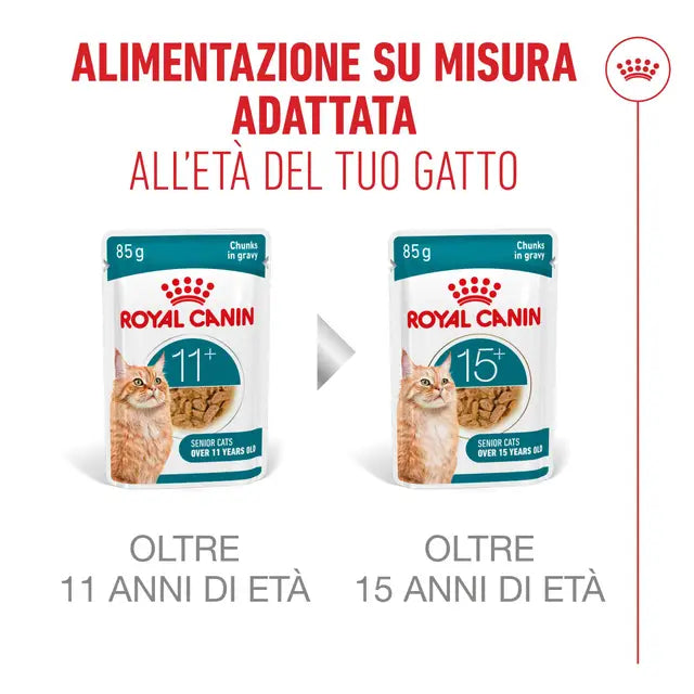 ROYAL CANIN AGEING 11+ GRAVY IN SALSA PER GATTI ANZIANI 12x85GR