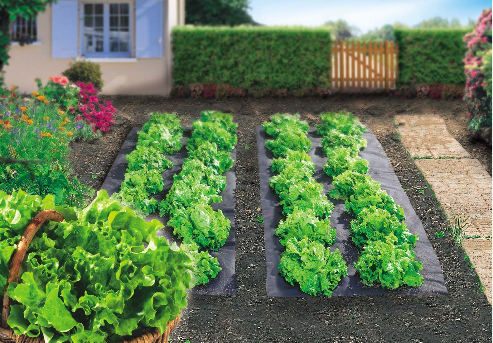 TERRAFILM BIO PER PACCIAMATURA 1.40X5 MT
