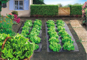 TERRAFILM BIO PER PACCIAMATURA 1.40X5 MT
