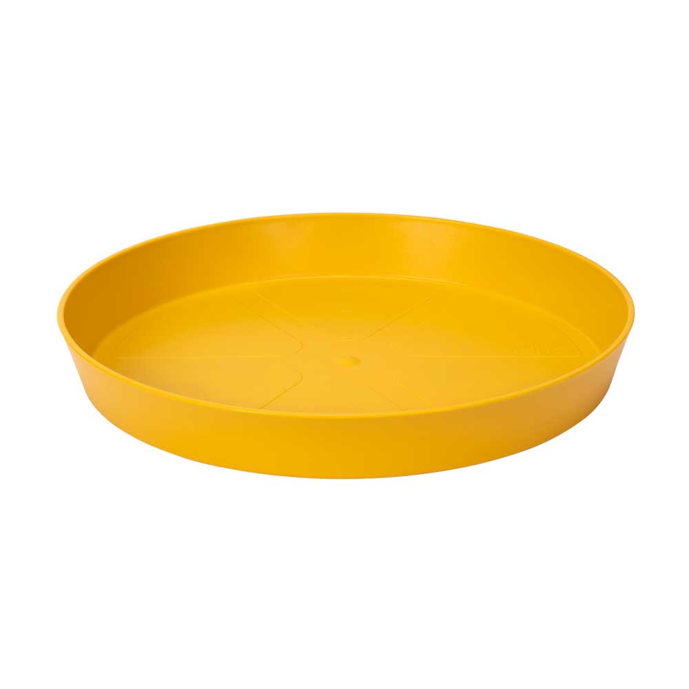 SOTTOVASO LOFT URBAN SAUCER ROUND 28CM COLORE A SCELTA