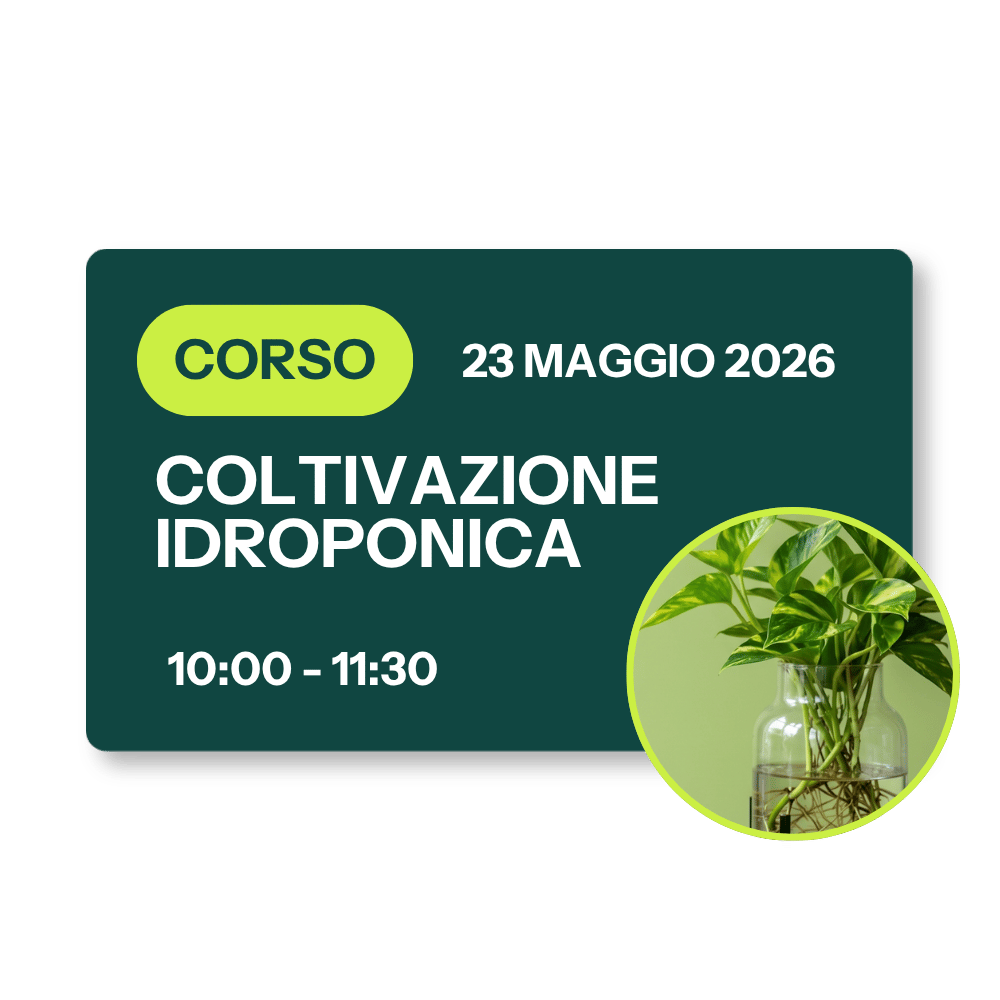 Corso Coltivazione Idroponica - 23 Maggio 2026