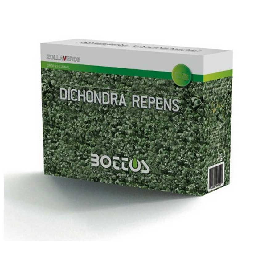 SEMENTI PER PRATO ZOLLAVERDE DICHONDRA REPENS 100GR