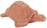 TARTARUGA CM.33