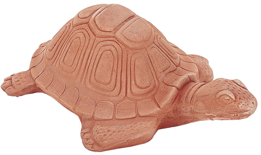 TARTARUGA CM.33