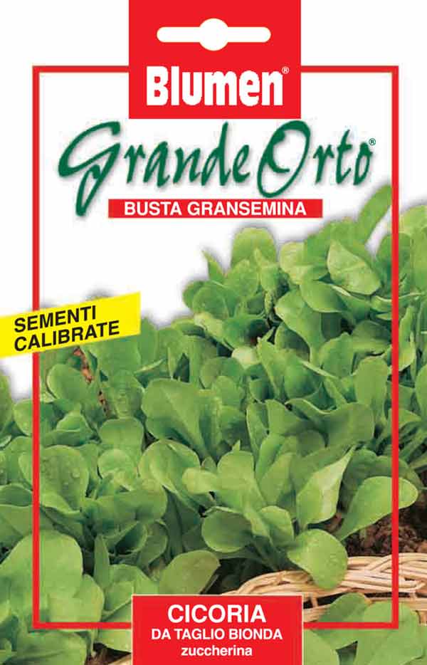 SEMI CICORIA DA TAGLIO BIONDA ZUCCHERINA BLUMEN