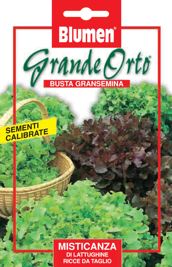 SEMI MISTICANZA DI LATTUGHINE RICCIE DA TAGLIO BLUMEN
