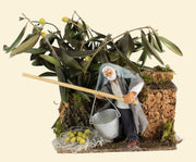 RACCOGLITORE DI OLIVE CON MOVIMENTI 10CM