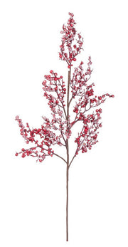 Ramo Delia Bacche Rosso Ghiacciato 20x70h cm Bizzotto