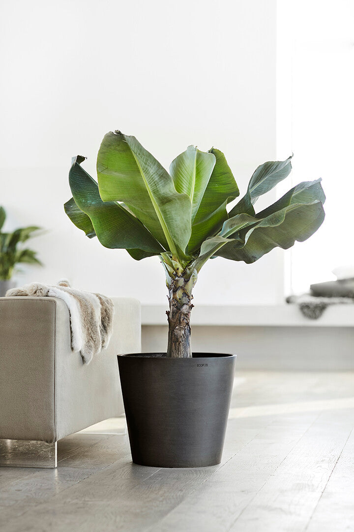 VASO AMSTERDAM 40x36CM GRIGIO SCURO
