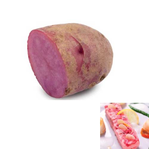 PATATA ROSSA ROSA LOVELY POM DA SEMINARE 10 TUBERI