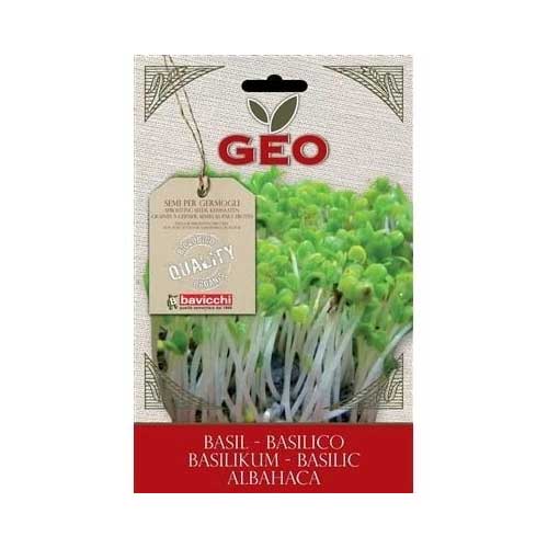 SEMI BIO GERMOGLI DI BASILICO FOGLIE VERDI 5 GR