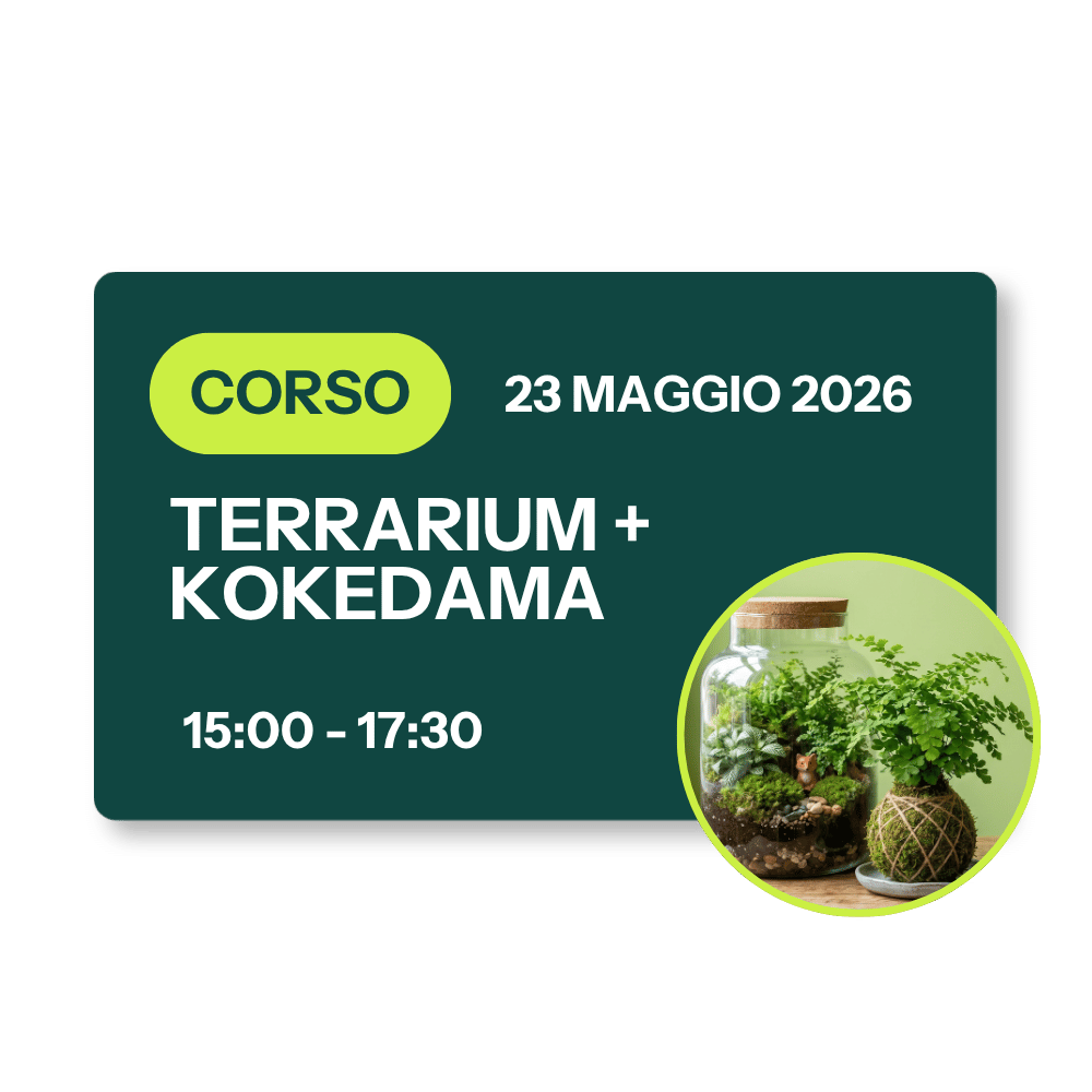 Corso Terrarium + Kokedama - 23 Maggio 2026
