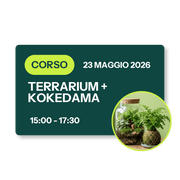 Corso Terrarium + Kokedama - 23 Maggio 2026