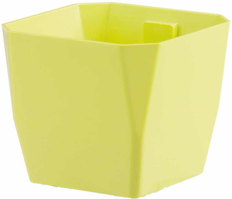 VASO MAGNETICO MAGNETIKA CUBIC 7CM COLORE A SCELTA
