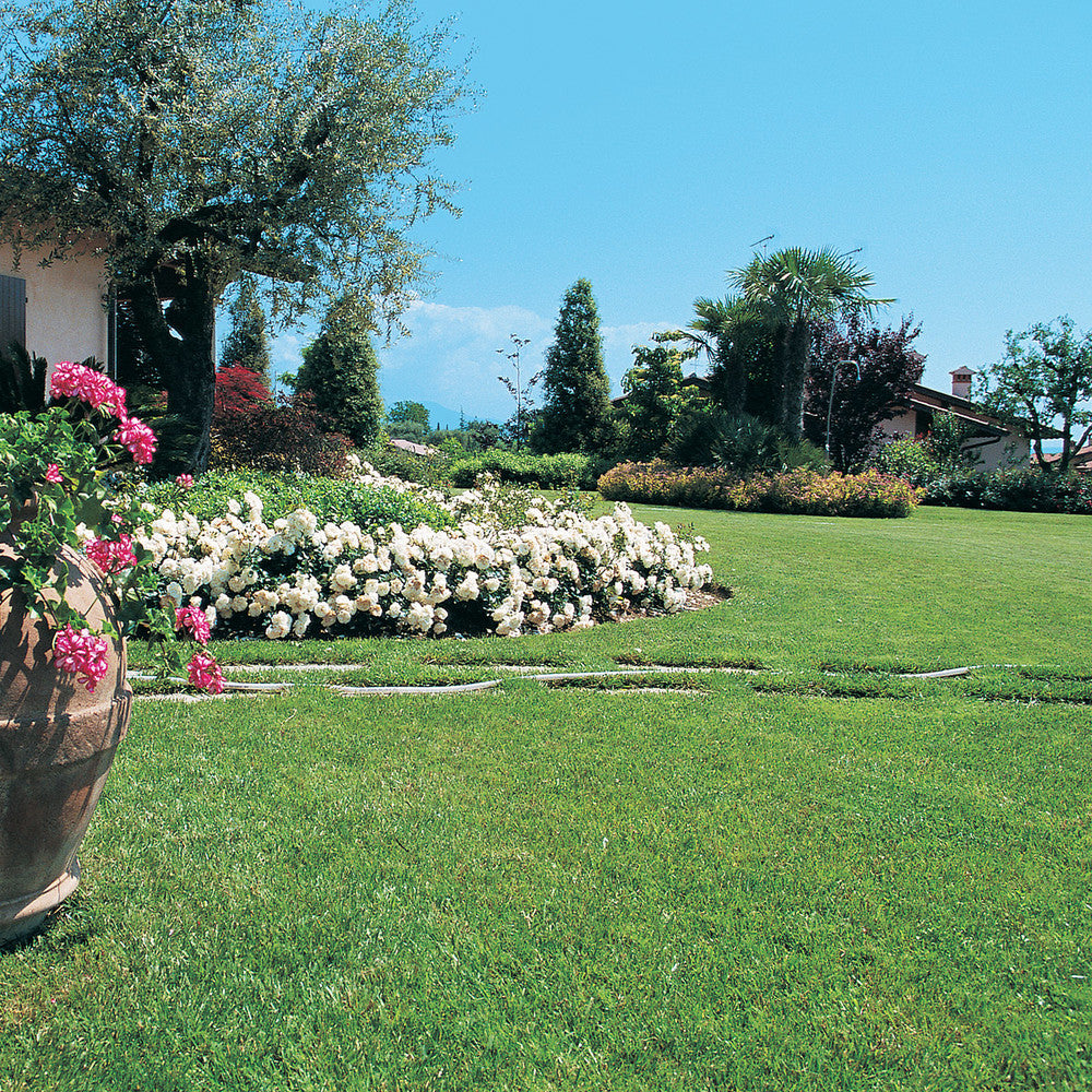 ESTRATTO INTEGRALE DI CASTAGNO 250G