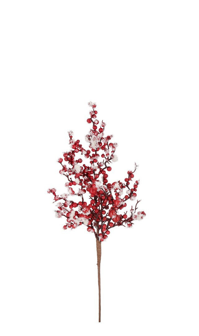 Pick Bessy Beeren rot gefroren 23x45cm bizzotto