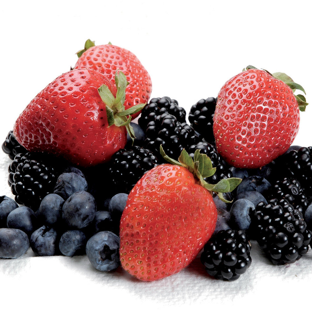 CONCIME BIOLOGICO PICCOLI FRUTTI 500 GR