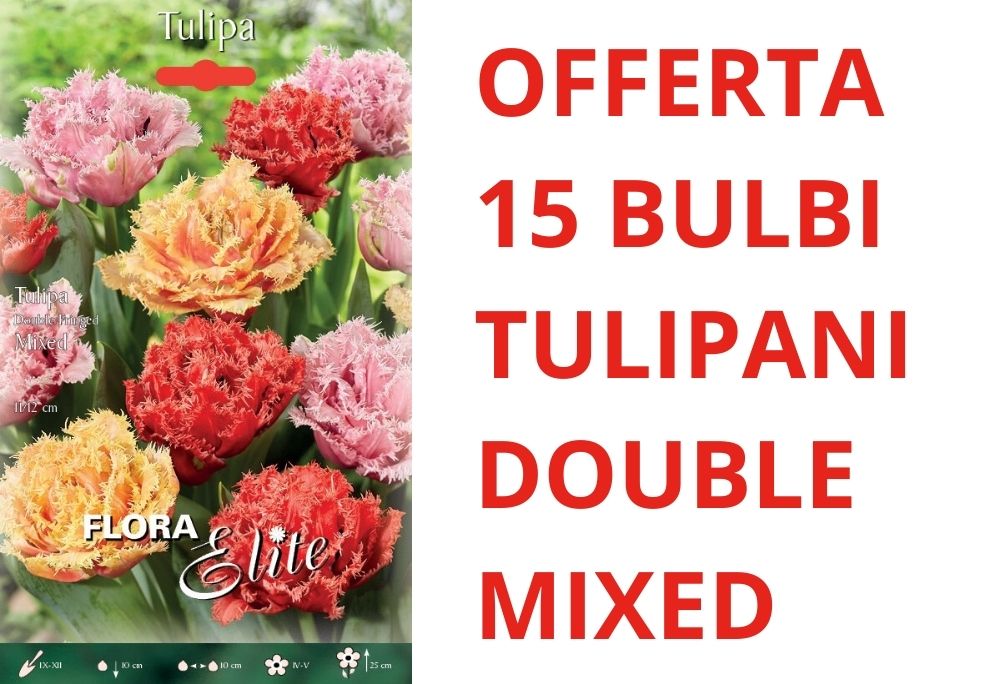 OFFERTA 15 BULBI DI TULIPANO DOUBLE FRINGED MIXED
