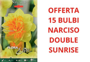OFFERTA 15 BULBI DI NARCISO DOUBLE SUNRISE