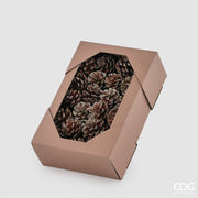 PIGNE DECORATIVE GLITTER DI PINO MARITTIMO 48PZ D.6CM