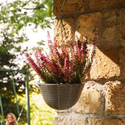 VASO BASKET GRIGIO D.30CM APPENDIBILE