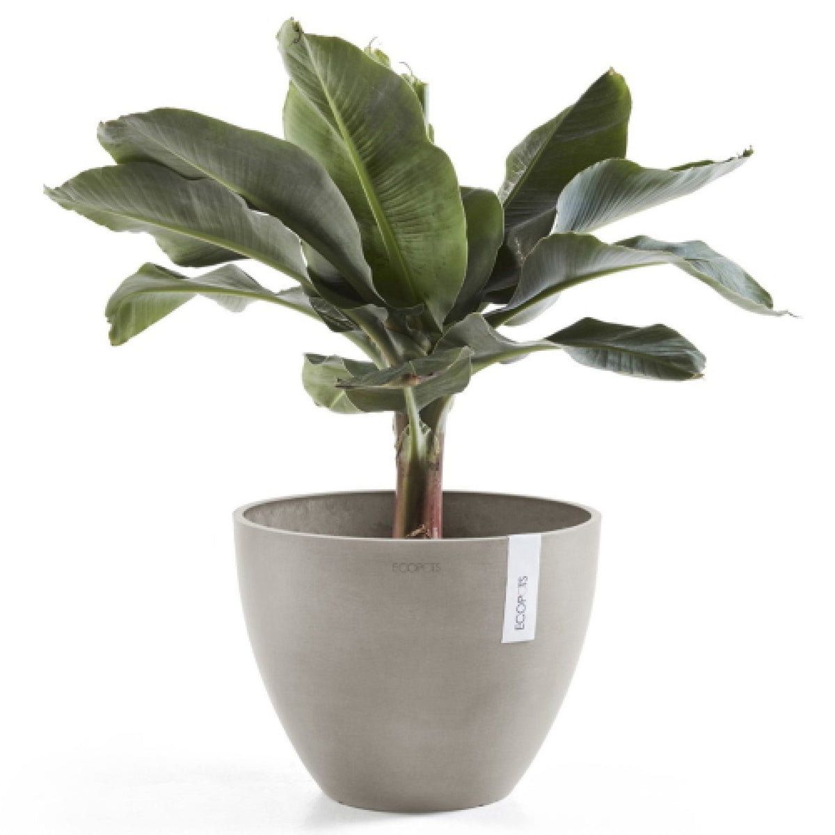Vaso Rotondo D30 H25,5 Taupe Ecopots