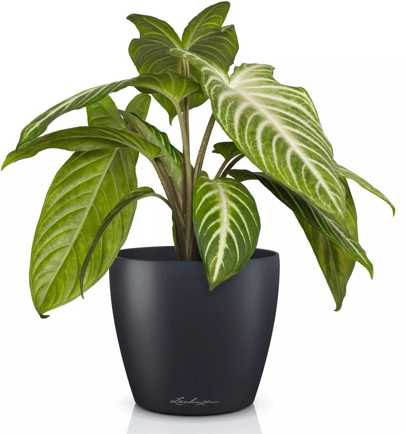 Vaso Classico "Deco 14" D15 H13.5CM Grigio Ardesia Opaco LECHUZA