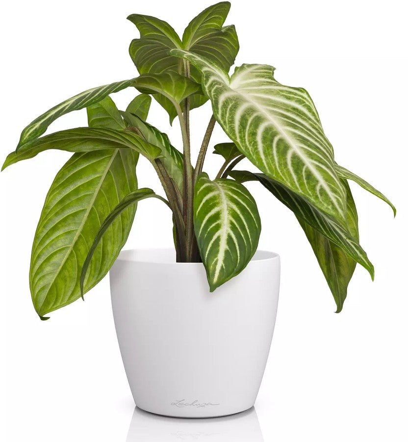 Vaso Classico "Deco 14" D15 H13.5CM Bianco Opaco LECHUZA