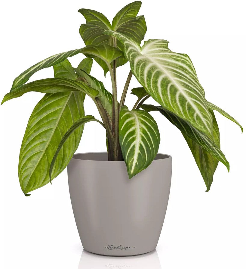 Vaso Classico "Deco 14" D15 H13.5CM Beige Sabbia LECHUZA