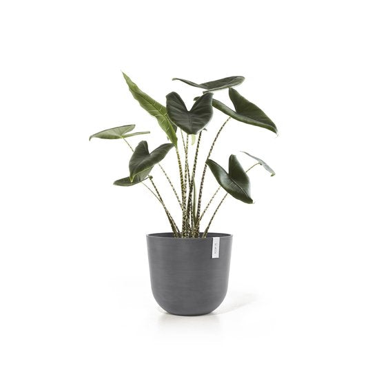 VASO OSLO D45 H39,2 CM GRIGIO